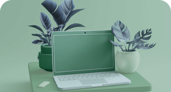 picture of a laptop on a desk with a couple plants around it