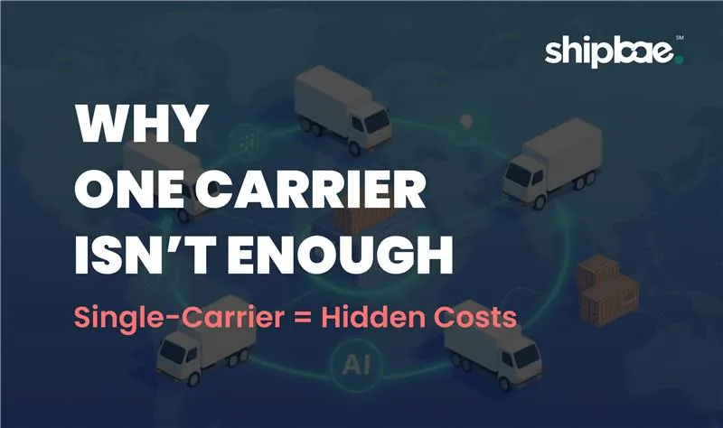 Why One Carrier Isn’t Enough - Blog