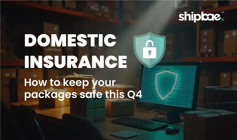 Domestic Insurance - Blog