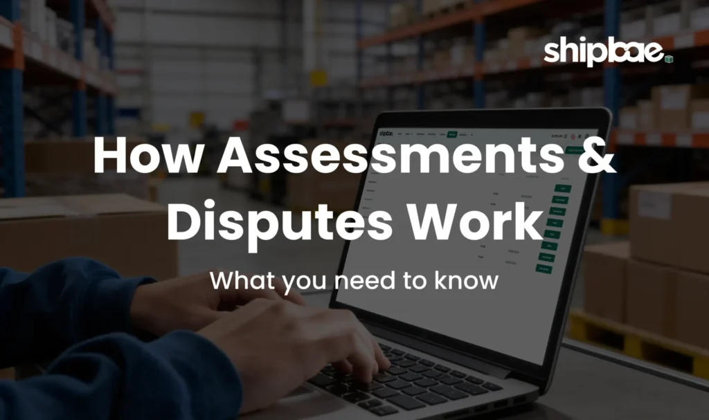 Assessments & Disputes blog Graphic